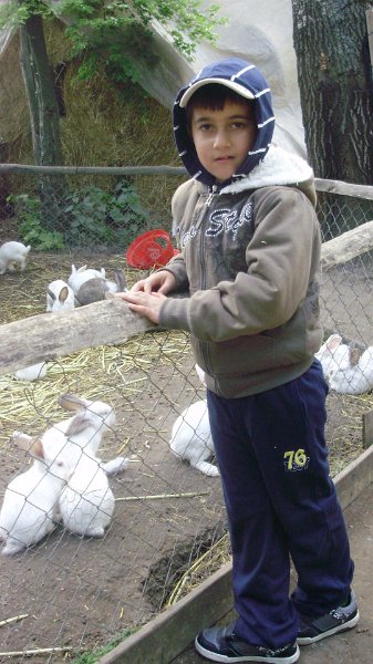 2011 05 02 Vadaspark 097.jpg